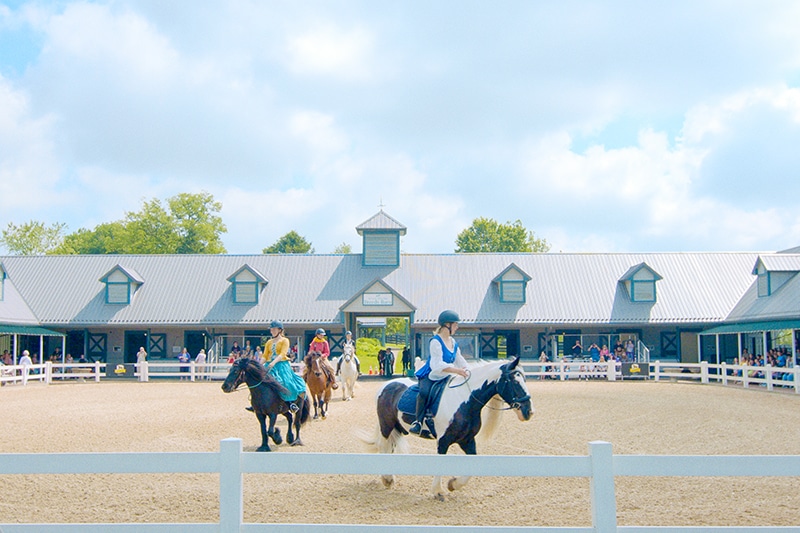 horses and riders in arena | horse show | Fayette County, Kentucky