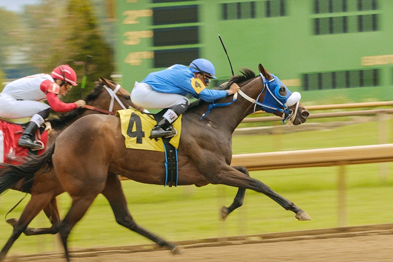 two horses racing | Henderson County, Kentucky