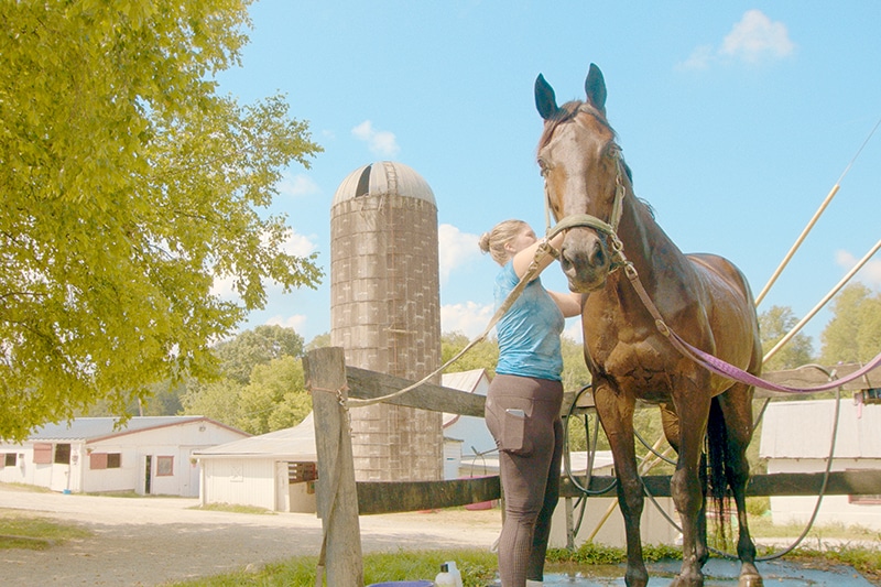 woman giving horse a bath in front of farm | Oldham County, Kentucky