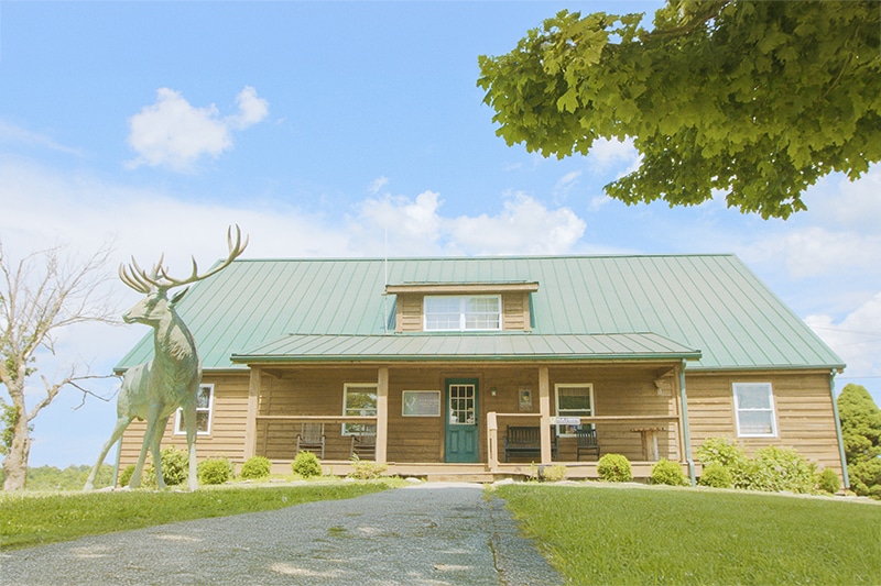 Elk Creek | elk statue | Owen County, Kentucky 